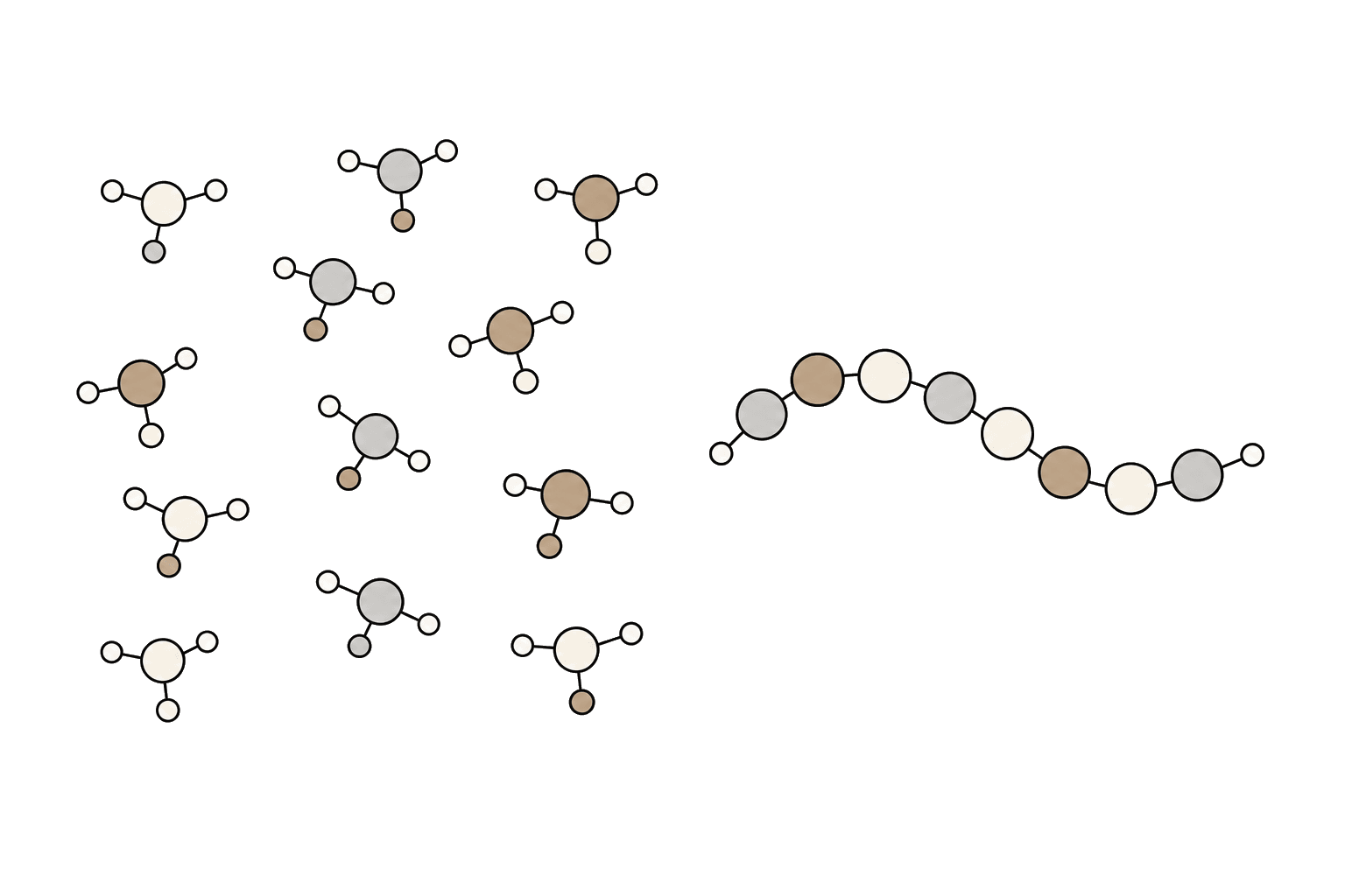 Illustration of Amino acid