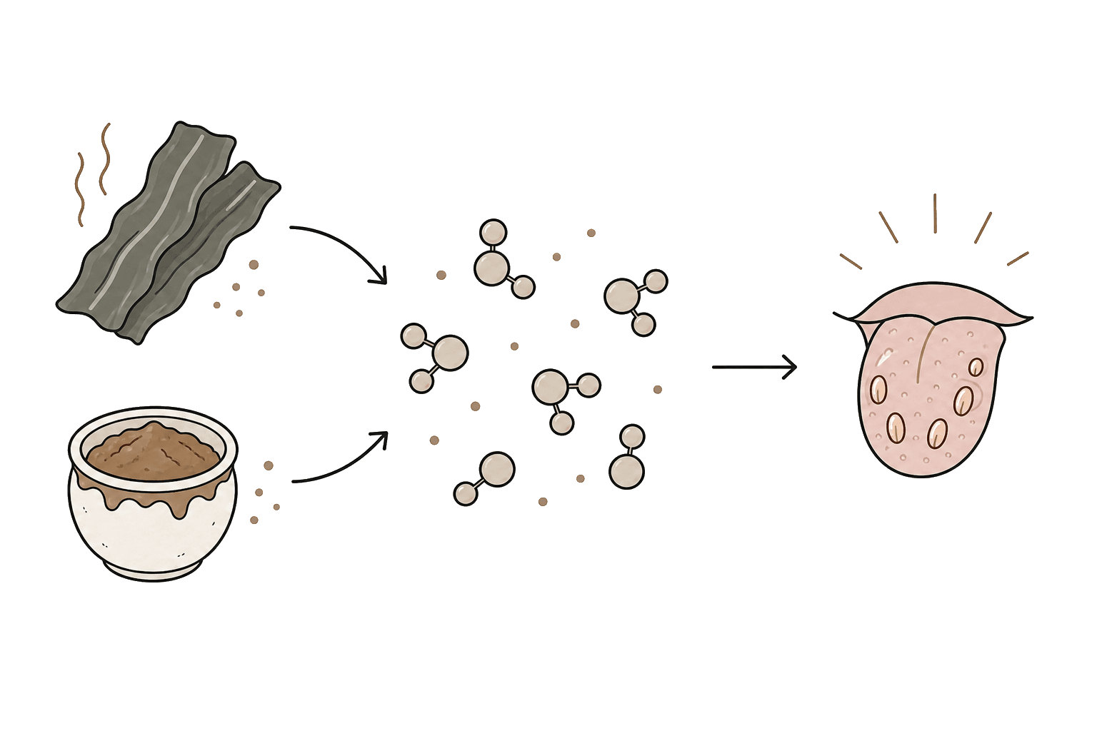 Illustration of Glutamic acid (L-Glutamic acid)