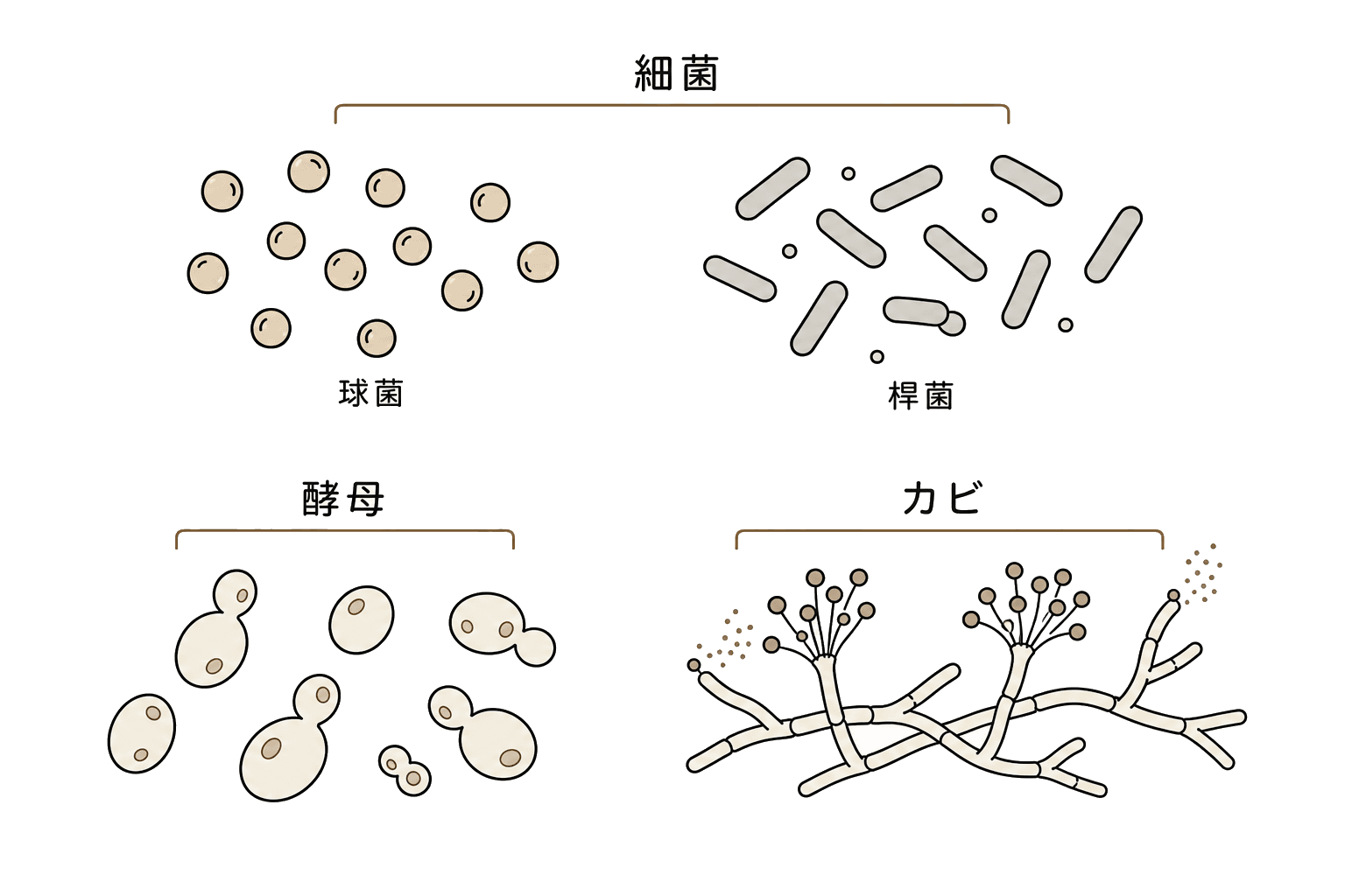 Illustration of Microorganism