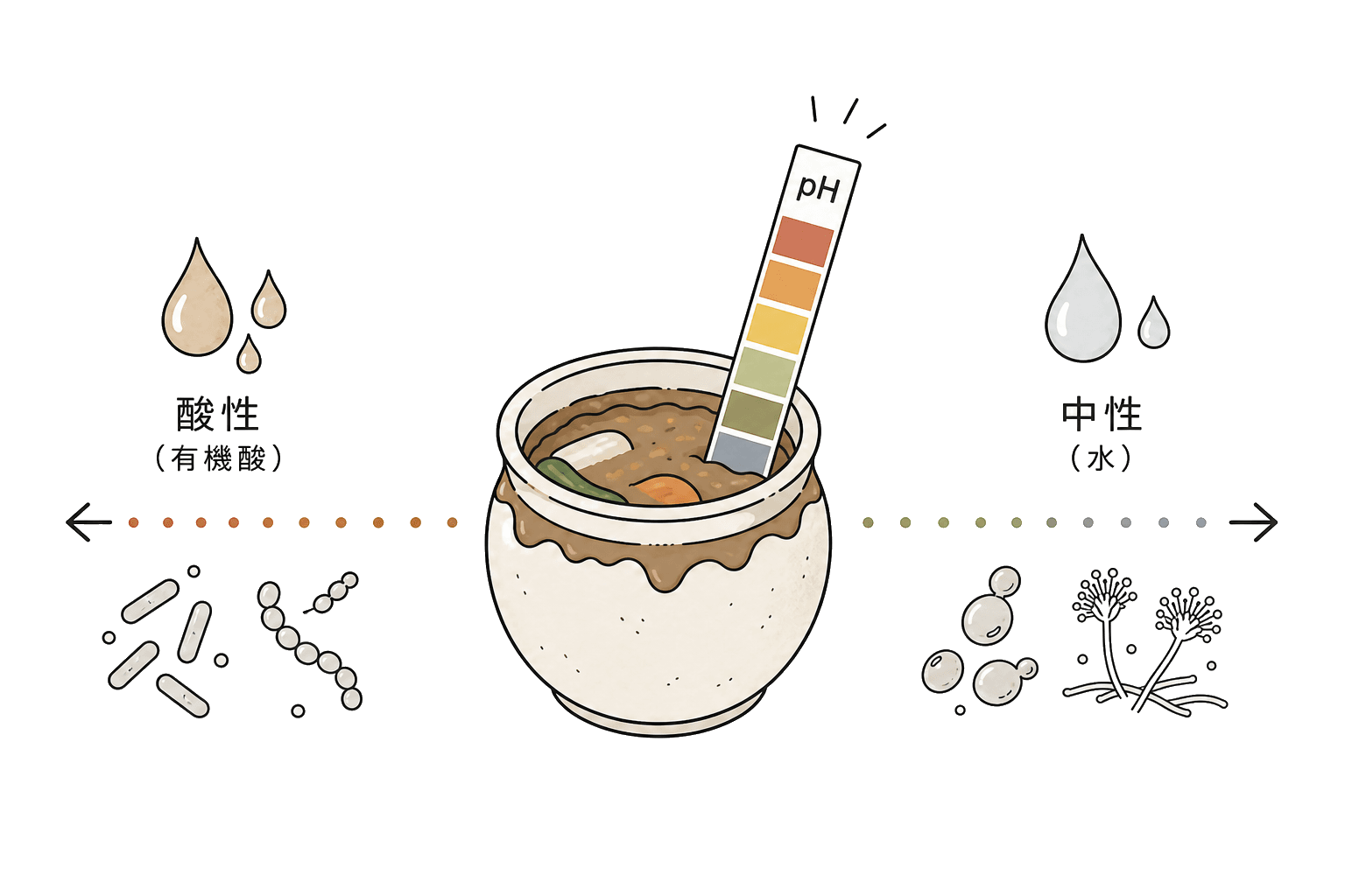 Illustration of pH (potential of hydrogen)