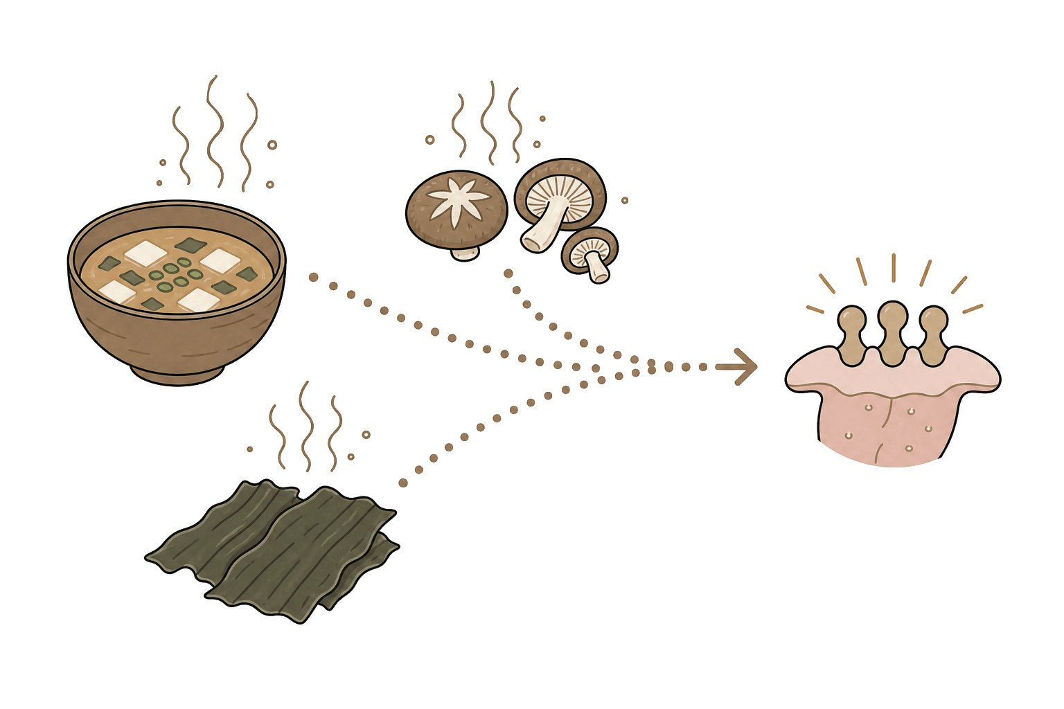 Illustration of Umami