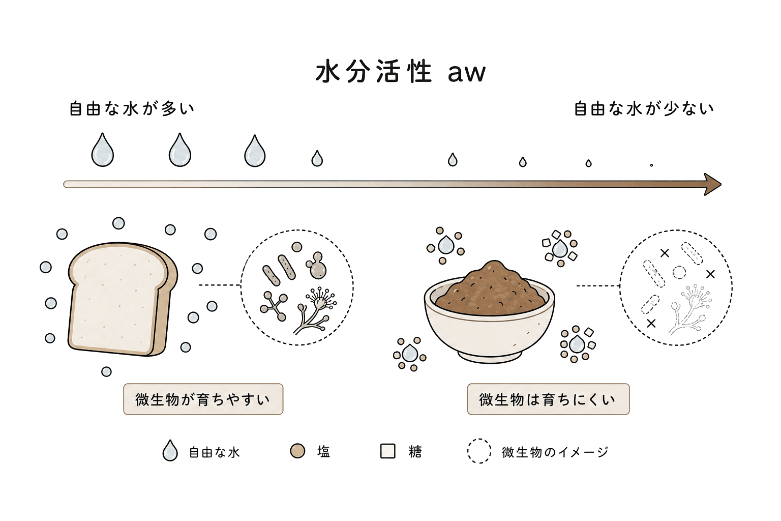 Illustration of Water activity (Aw)