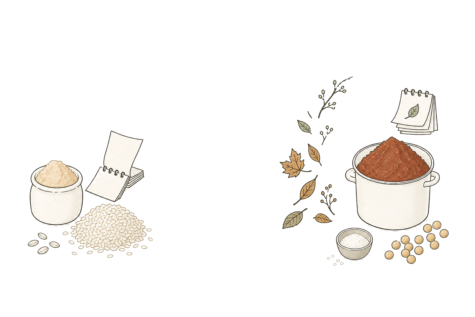 An illustration contrasting a pale miso rich in rice koji with a dark miso matured for a long time with soybeans and salt, using a calendar and seasonal leaves.